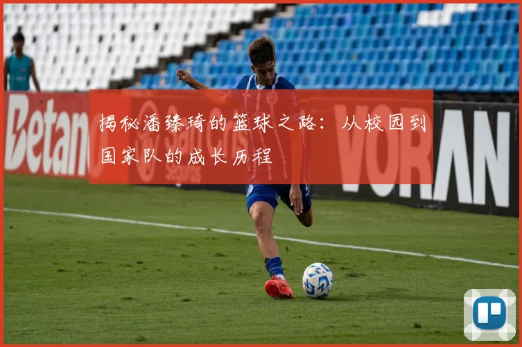揭秘潘臻琦的篮球之路:从校园到国家队的成长历程