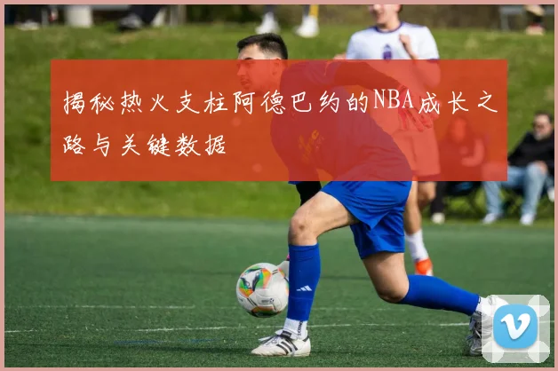 揭秘热火支柱阿德巴约的NBA成长之路与关键数据